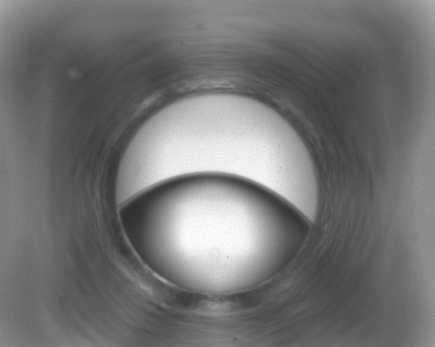 X0000082980260200702011216