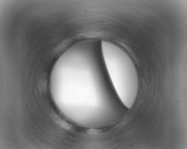 X0000082980261200702011216