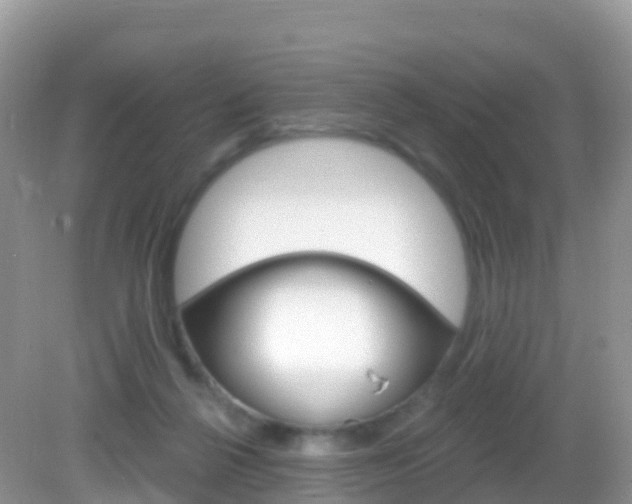 X0000082980264200702011216