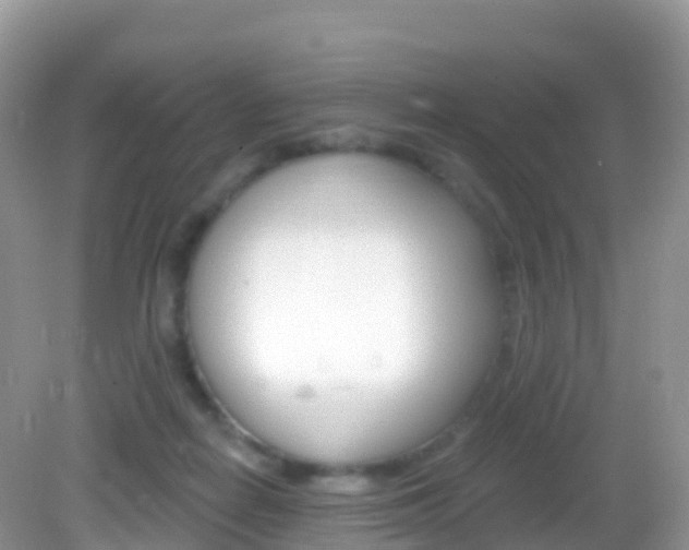 X0000082980266200702011216