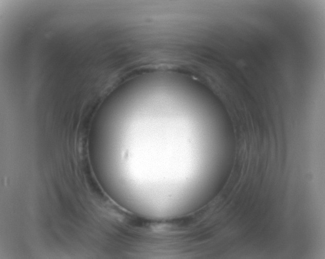X0000082980268200702011216