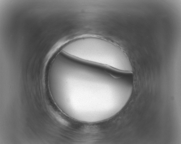 X0000082980296200702011215