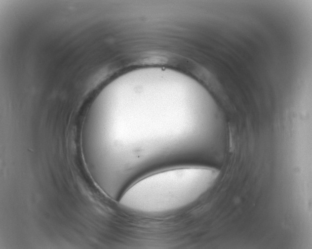 X0000082980300200702011215