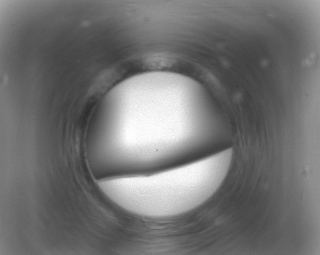 X0000082980315200702011215