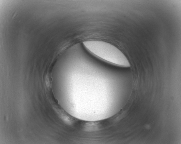 X0000082980335200702011214