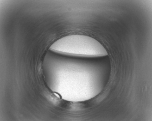 X0000082980336200702011214