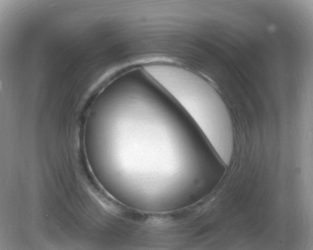 X0000082980350200702011214