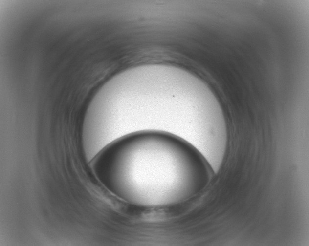 X0000082980362200702011214