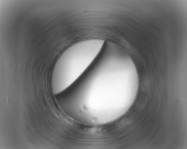 X0000082980366200702011214