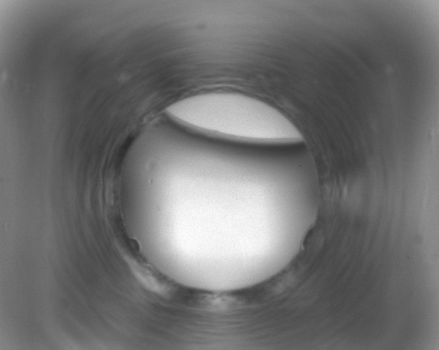 X0000082980379200702011214