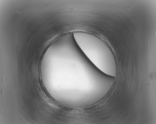 X0000082980386200702011214