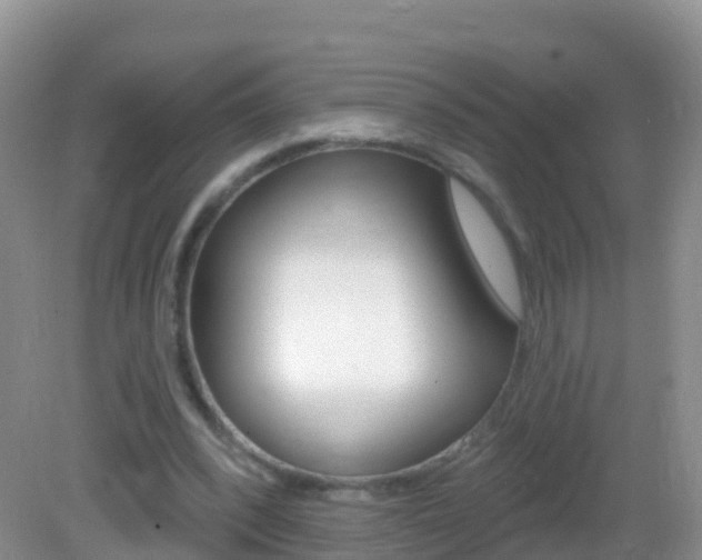 X0000082980392200702011214