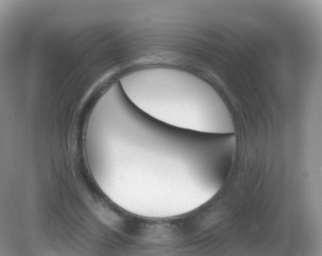 X0000082980396200702011213