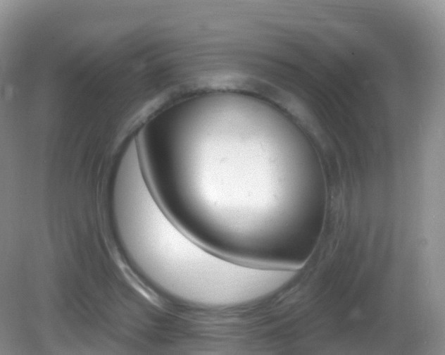X0000082980397200702011213