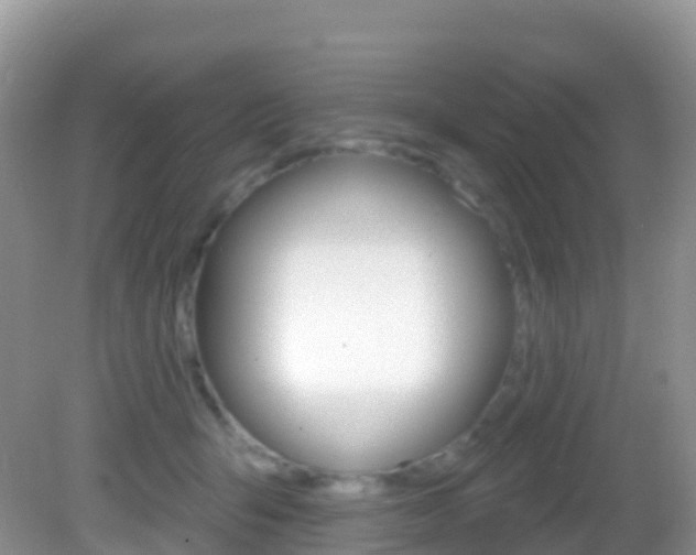 X0000082980415200702011213