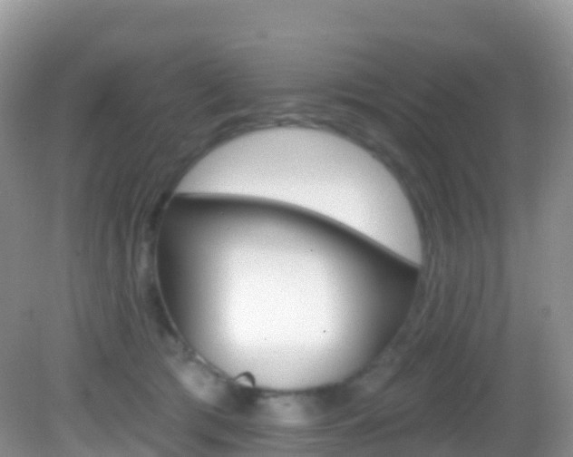 X0000082980417200702011213