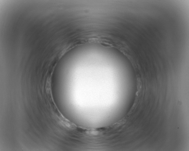 X0000082980419200702011213