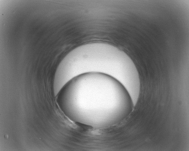 X0000082980423200702011213