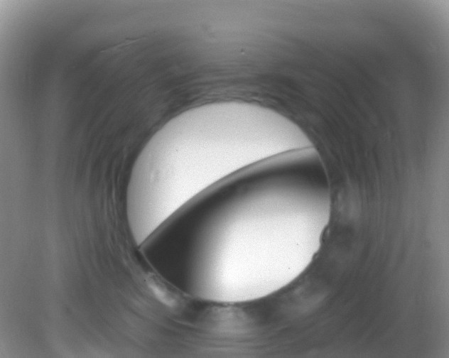 X0000082980424200702011213