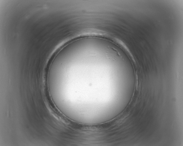 X0000082980435200702011212