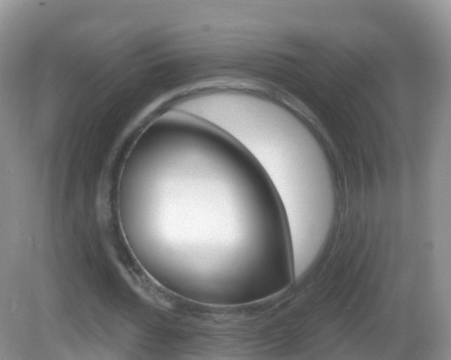 X0000082980436200702011212