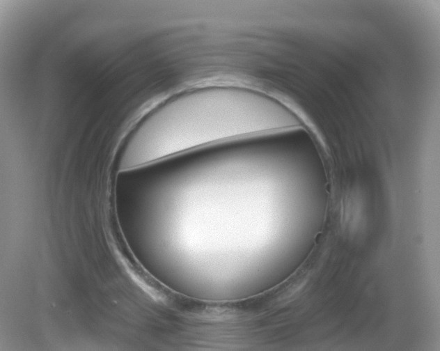 X0000082980437200702011212