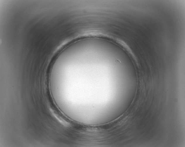 X0000082980439200702011212