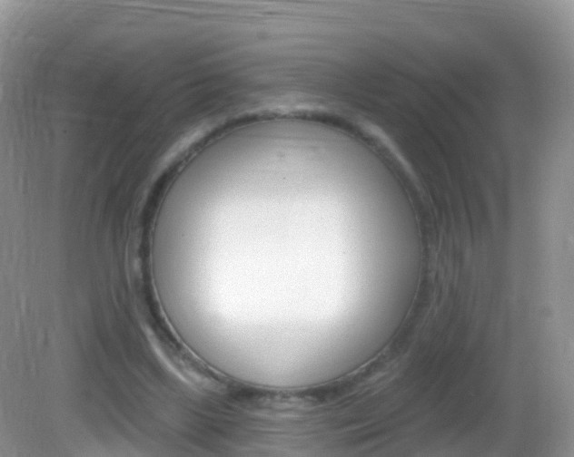 X0000082980443200702011212