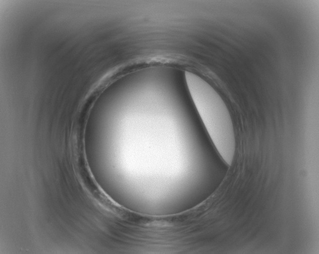 X0000082980444200702011212