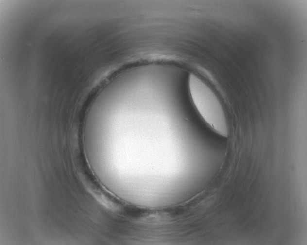 X0000082980447200702011212