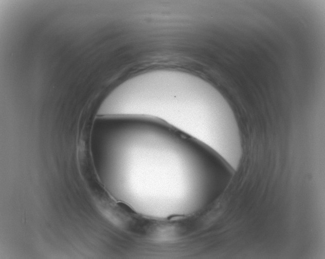 X0000082980456200702011212