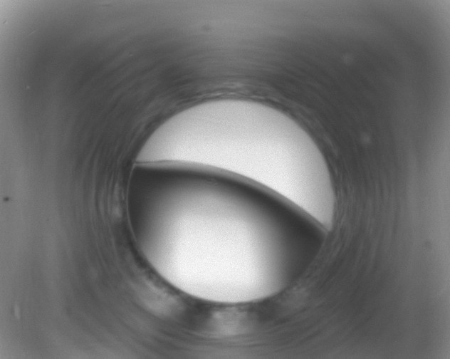 X0000082980470200702011213