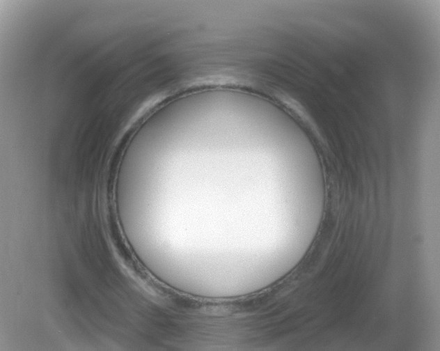 X0000082980482200702011212