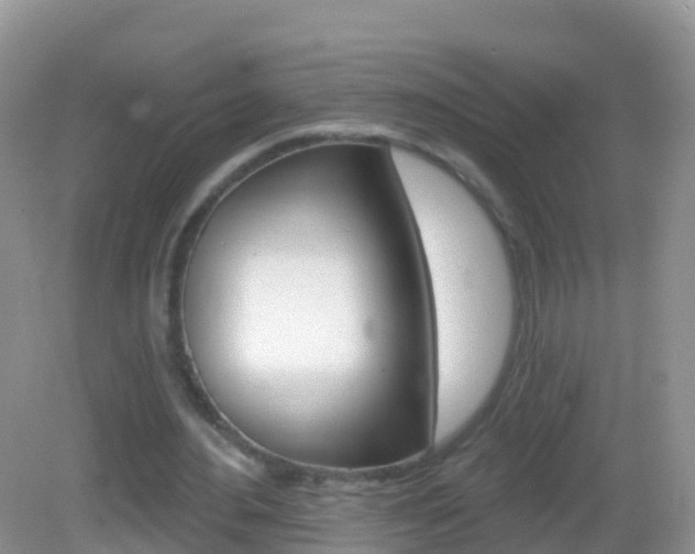 X0000082980484200702011212
