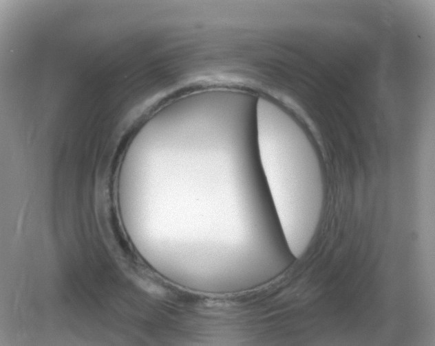 X0000082980487200702011212