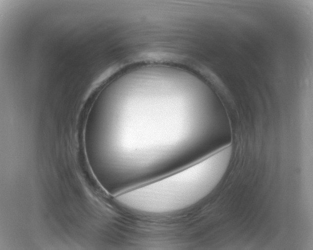 X0000082980488200702011212