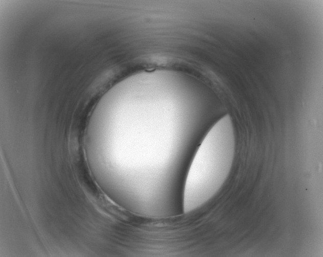 X0000082980500200702011212