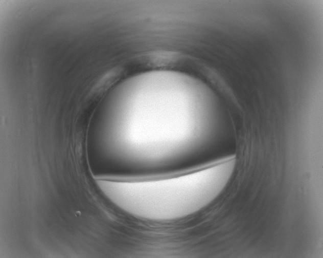 X0000082980505200702011212