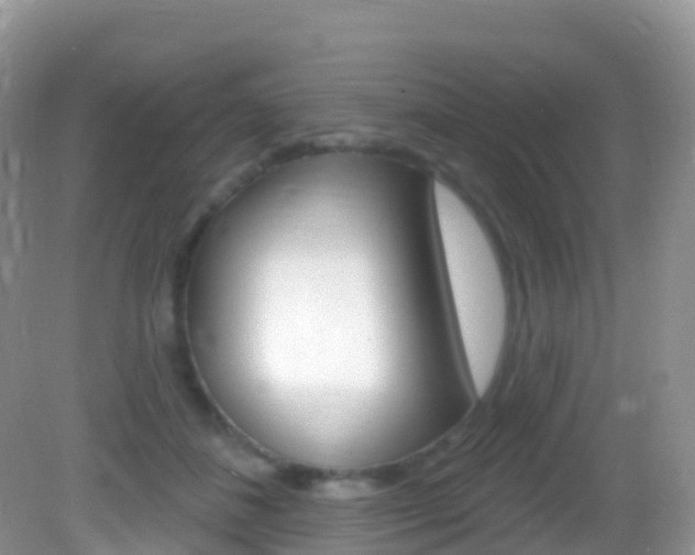 X0000082980508200702011212