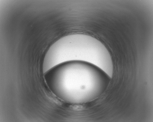 X0000082980512200702011211
