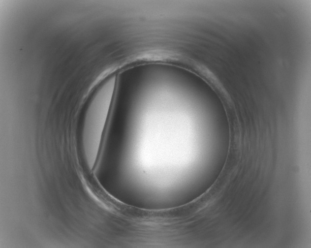 X0000082980530200702011210