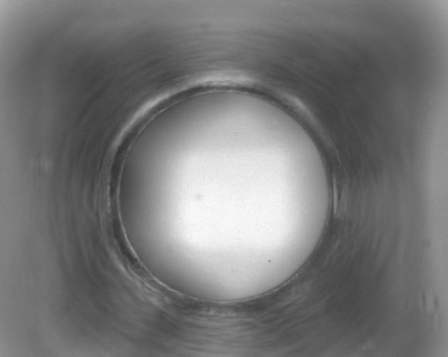 X0000082980531200702011210