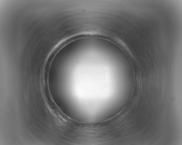 X0000082980532200702011210