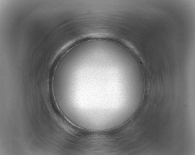 X0000082980535200702011211