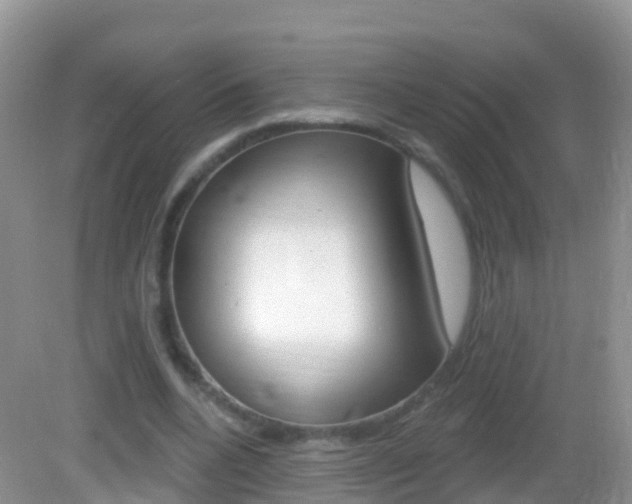 X0000082980536200702011211