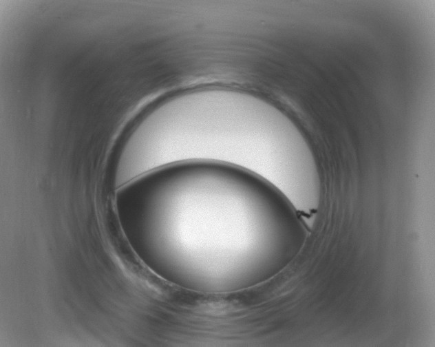 X0000082980540200702011211