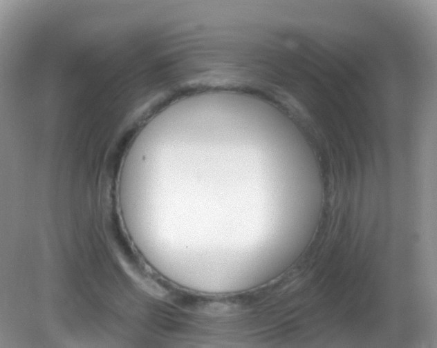 X0000082980542200702011211