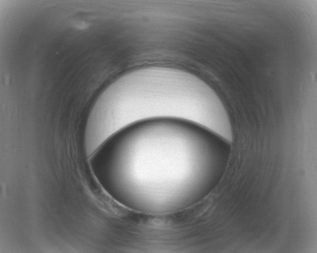 X0000082980546200702011211