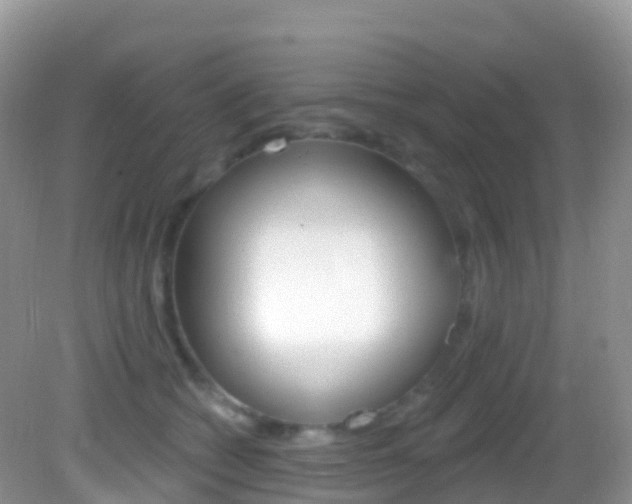 X0000082980562200702011211