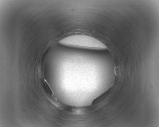 X0000082980564200702011211